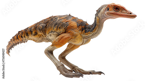 This image shows a highly detailed and realistic model of a young dinosaur with feathers, signifying the connection between birds and dinosaurs © Daniel