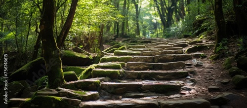 A wooden staircase surrounded by nature in a forest  with mosscovered steps blending seamlessly into the natural landscape of trees  grass  and groundcover