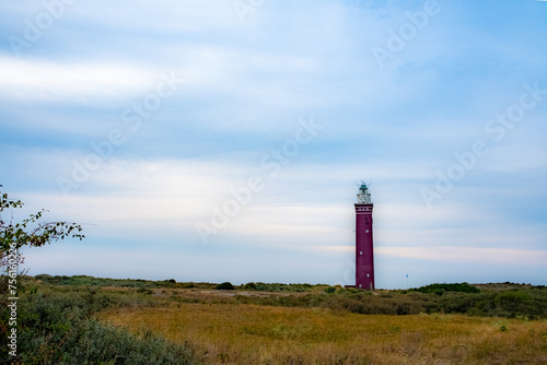 The image depicts a stately lighthouse standing tall amidst a sprawling coastal heath. The lighthouse s striking red and white colors create a focal point against the muted tones of the surrounding