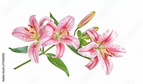 bouquet of pink lilies