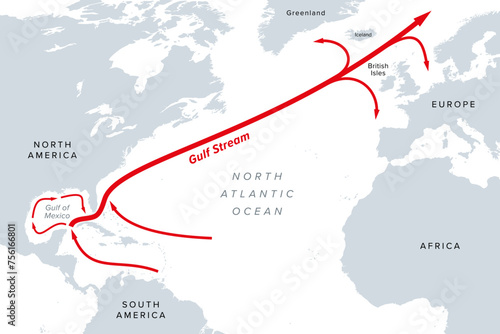 Gulf Stream, gray political map. A warm and swift Atlantic Ocean current, originating in the Gulf of Mexico, flowing  through the Straits of Florida up the coastlines of the United States and Canada.