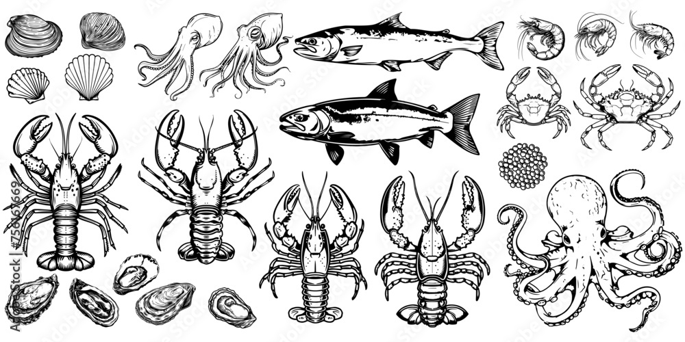 seafood animals set. ocean sea creatures outline. food sea meal elements.