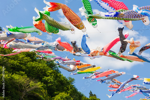 日本の風景・春　群馬県神流町　神流川公園の鯉のぼり