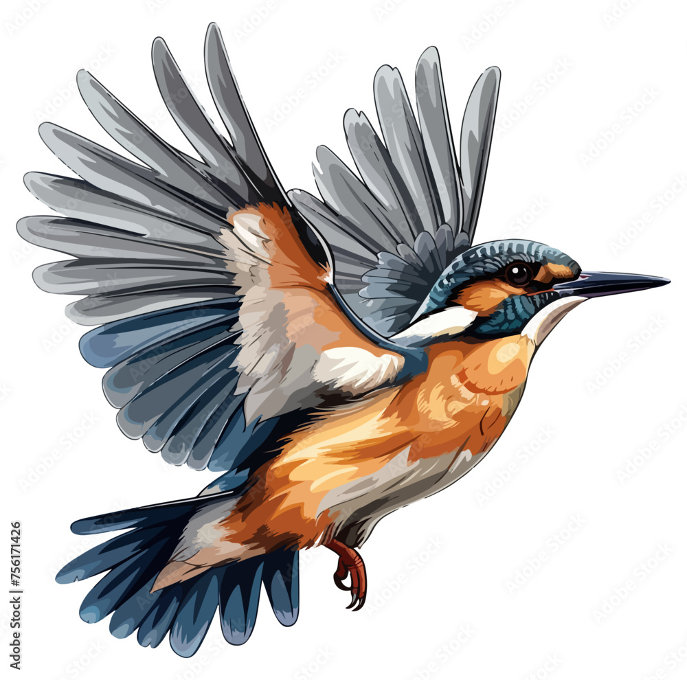Obraz premium kingfisher bird flying 