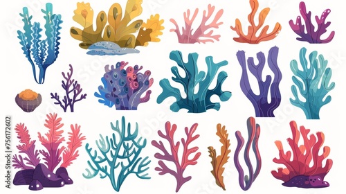 Cartoon seaweed and coral illustration set. Underwater ocean and aquarium plants and creatures. Various marine algae and oceania sponges.