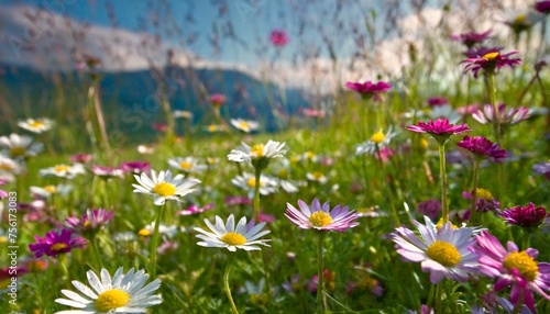 "Dancing with Daisies: A Whimsical Journey"