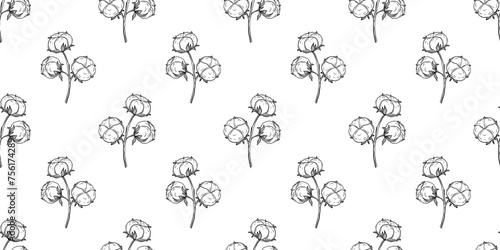Seamless pattern with hand drawn cotton branch in engraving style isolated on white. Line drawing