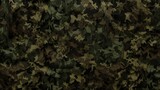 military camouflage background Green and brown military camouflage pattern