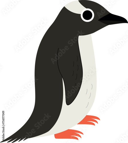 Vector illustration of cute gentoo penguin isolated on white background.