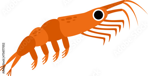 Vector illustration of cute antarctic krill isolated on white background.