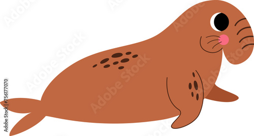 Vector illustration of cute elephant seal isolated on white background.