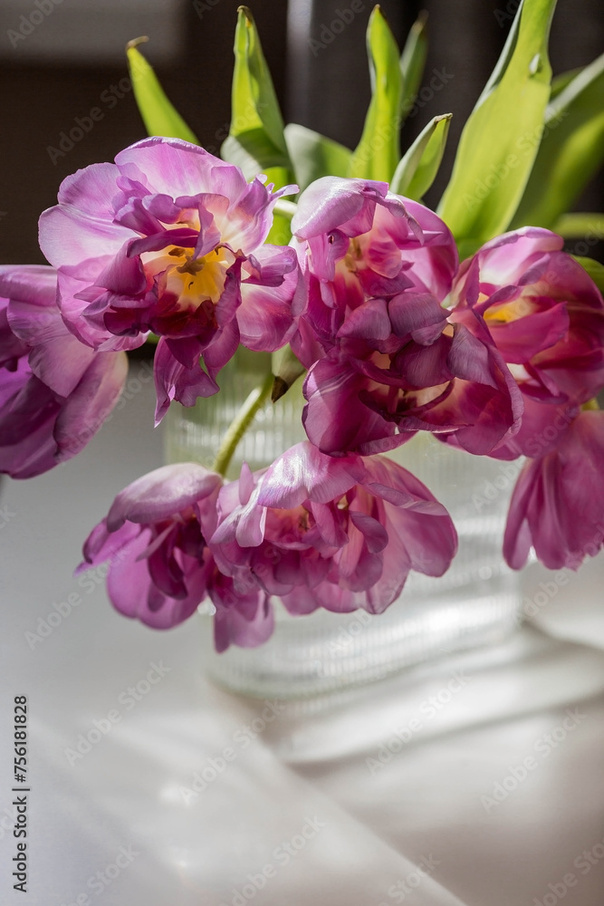 A bouquet of pink tulips in a beautiful stylish vase on the table in the room. The concept of the onset of spring and International Women's Day on March 8. A bouquet of pink tulips in a beautiful stylish vase on the table in the room. The concept of the onset of spring and International Women's Day on March 8.