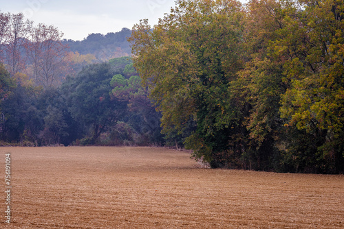 Field tilled and prepared for planting surrounded by deciduous trees.