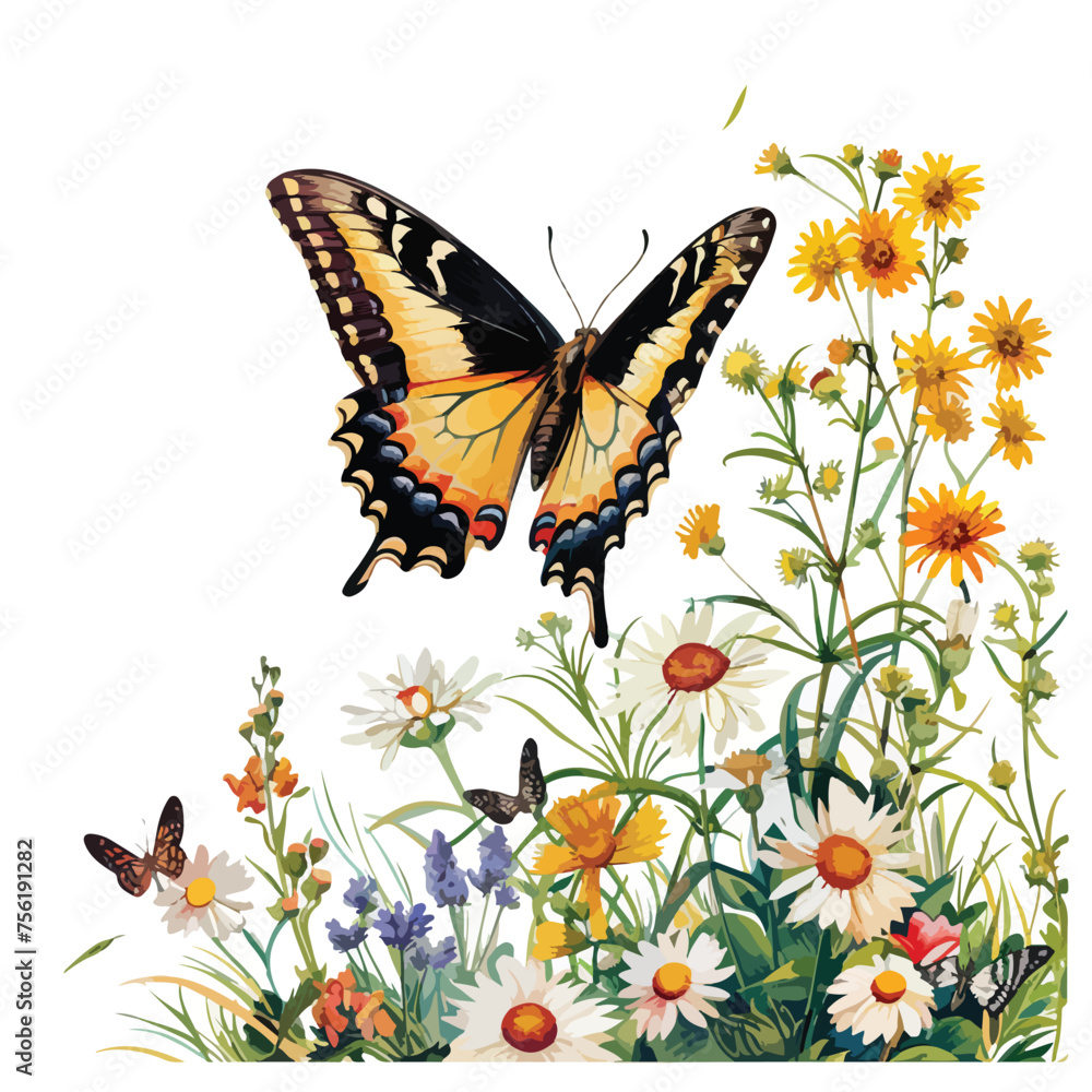 Butterfly on Wildflower Clipart isolated on white background