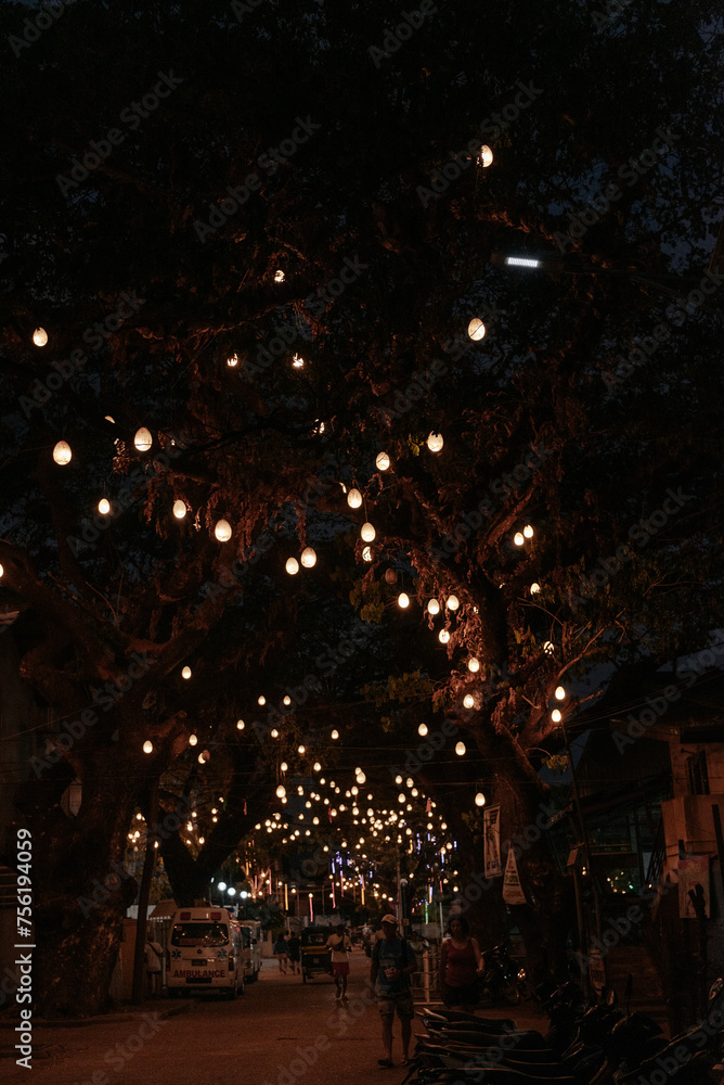 Hanging lights in trees at night in the Philippines