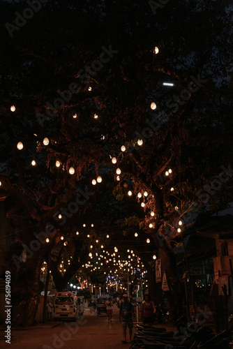 Hanging lights in trees at night in the Philippines