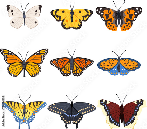 butterfly set cartoon vector illustration