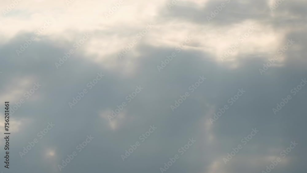 Silhouette of eagle bird fly over in the sky against sun ray background in Bangladesh Asia Silhouette of eagle bird fly over in the sky against sun ray background in Bangladesh Asia