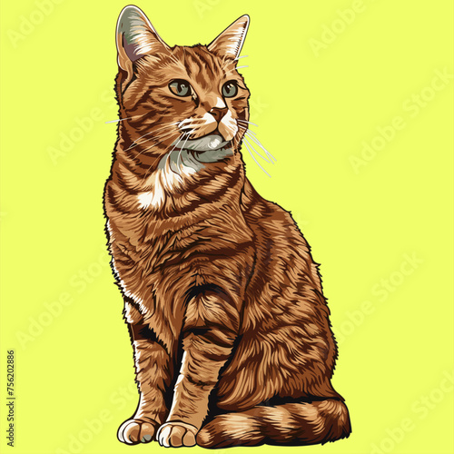 tabby Cat red Cartoon flat 