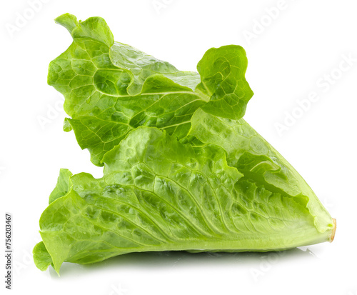 Lettuce Romain isolated on a transparent background