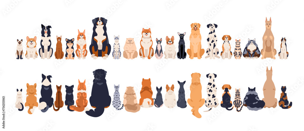 Dogs and cats, front and back rear views, tails. Canine and feline animals group sitting in row, line. Many pets breeds, horizontal border. Flat vector illustration isolated on white background - obrazy, fototapety, plakaty 