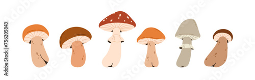Mushrooms set. Autumn forest fungi. Fall fungus, boletus, porcini, amanita, f...