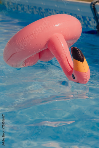 Rubber Flamingo swimming in a pool