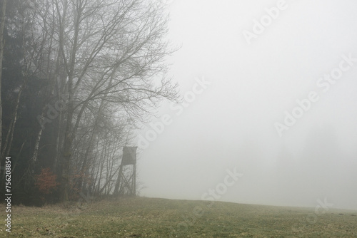 Hunter tree stand in fog in the nature