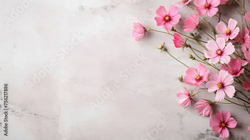 Fresh pink flowers on light rustic background