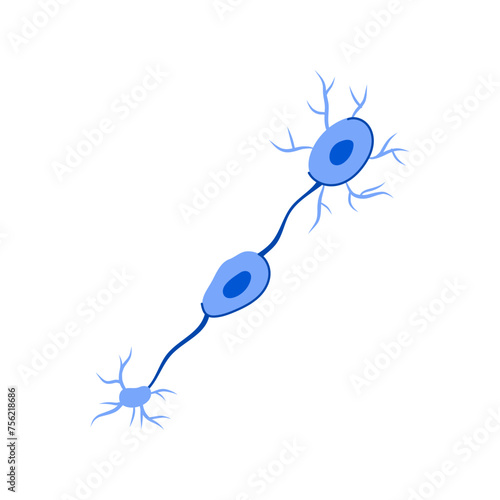 neural neurons cartoon vector illustration