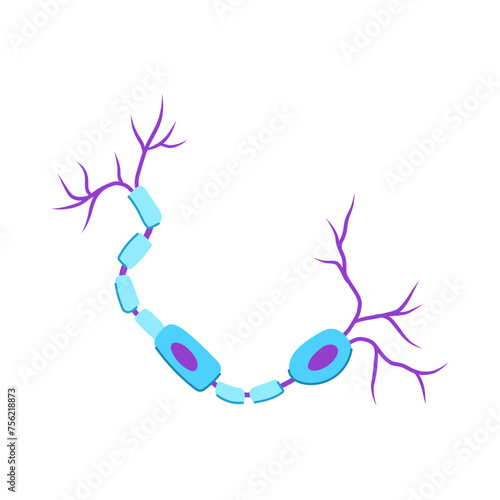 neuro neurons cartoon vector illustration