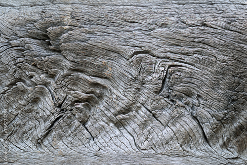 detailed texture of oak wood © taviphoto