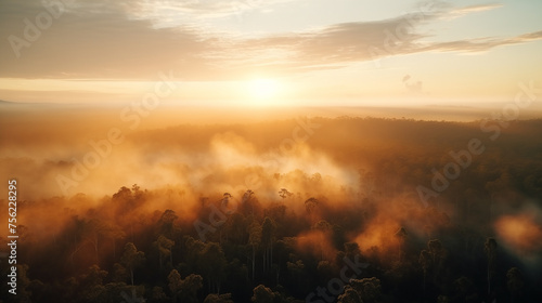 Amazon forest landscape at sunset or sunrise, aerial shot with soft fog in the forest below and sun at horizon. Ai generated #756228295