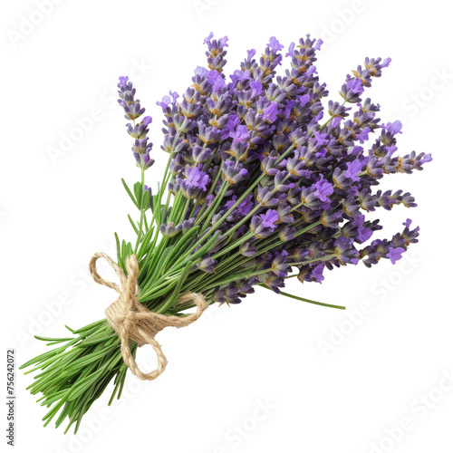 Bunch of Lavender isolated on transparent background With clipping path.3d render