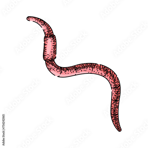 simple worm hand drawn. vector earth, pink compost, garden food simple worm vector sketch. isolated color illustration