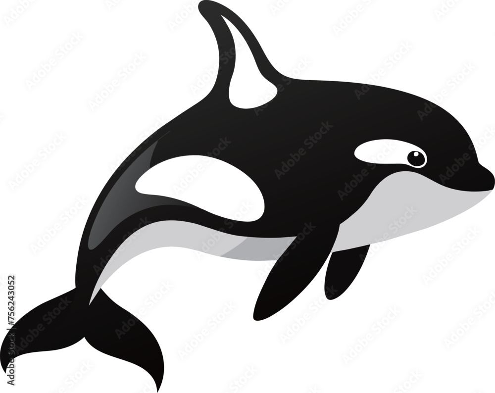 Fototapeta premium Illustration of a killer whale or killer whale on isolated white background