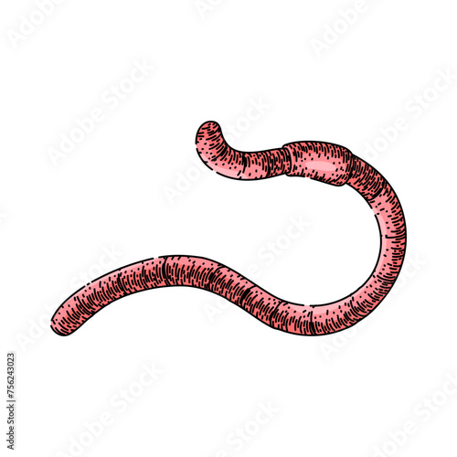 apple worm hand drawn. soil simple, vector earth, pink compost apple worm vector sketch. isolated color illustration