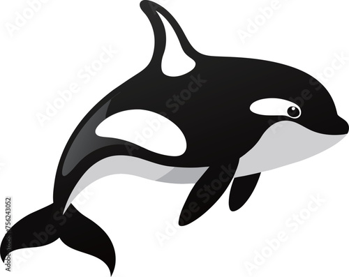 Illustration of a killer whale or killer whale on isolated white background