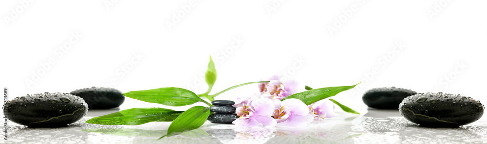 Obraz premium Spa concept