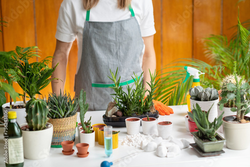Indoor gardening, a woman tends to her plants with care and love, creating a tranquil green space at home