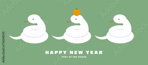 巳年の年賀状イラスト素材 ベクター 鏡餅 白ヘビ かわいい シンプル photo