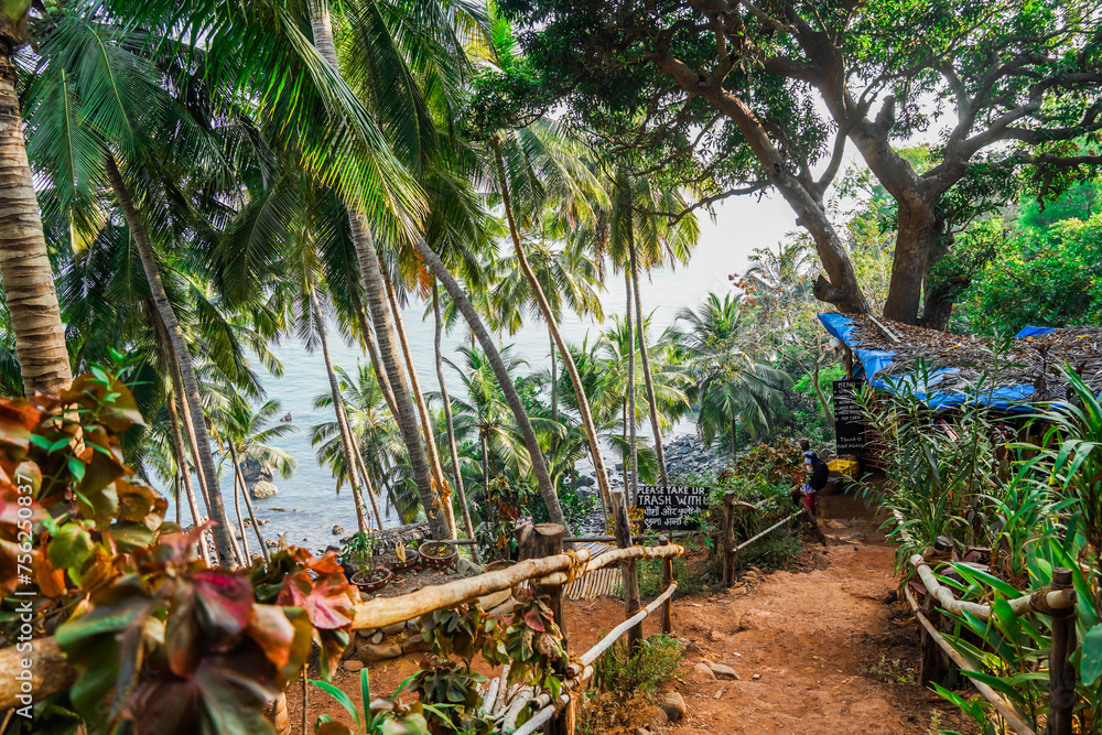 Footpath in cabo-de-rama fort to reach pebble beach in Goa, India. Dense tropical forest with palm trees and other trees. Beautiful sunset landscape and ocean can be seen in the backdrop of forest. Footpath in cabo-de-rama fort to reach pebble beach in Goa, India. Dense tropical forest with palm trees and other trees. Beautiful sunset landscape and ocean can be seen in the backdrop of forest.