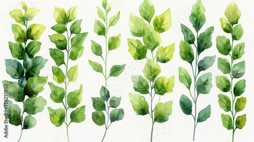 Green Leaf Branches Watercolor Illustration Set Generative AI