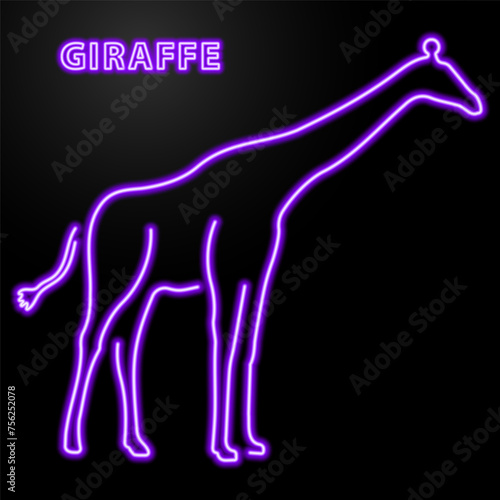 giraffe neon sign, modern glowing banner design, colorful modern design trend on black background. Vector illustration. © Oleh