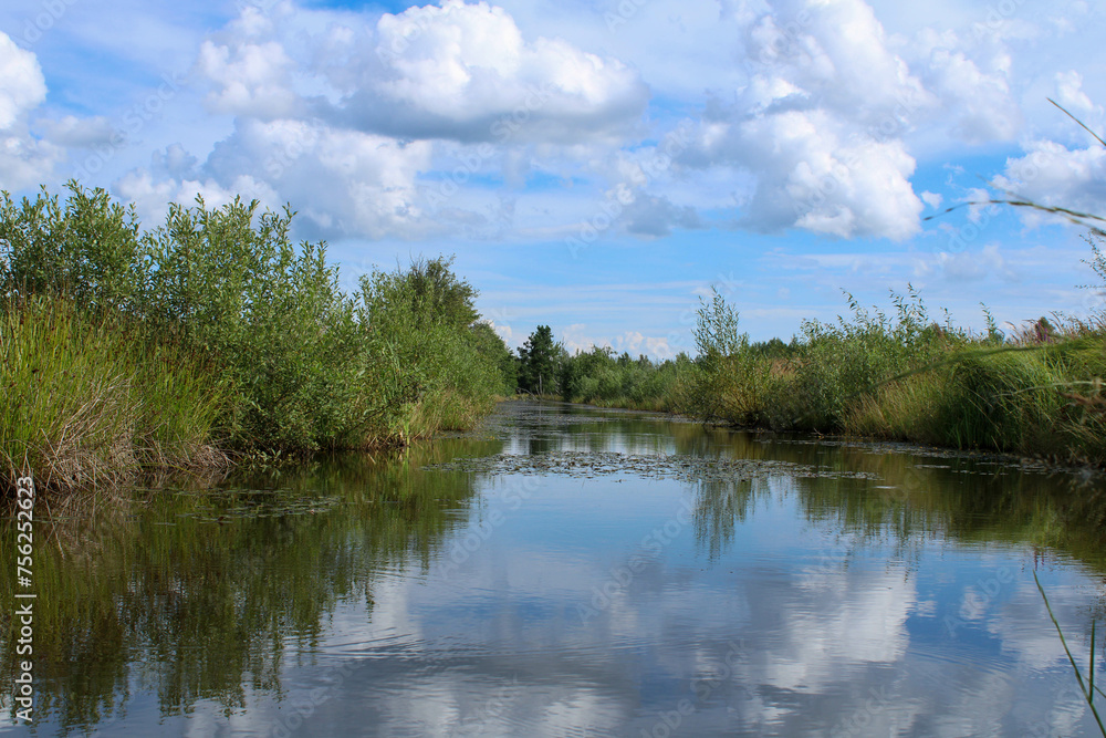 A small stream in the middle of a field