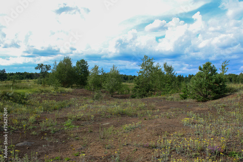 A field of tarmac with lone trees and clumps of grass against a bright blue sky