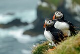 Puffin Pals A Cute Moment on the Cliff Generative AI