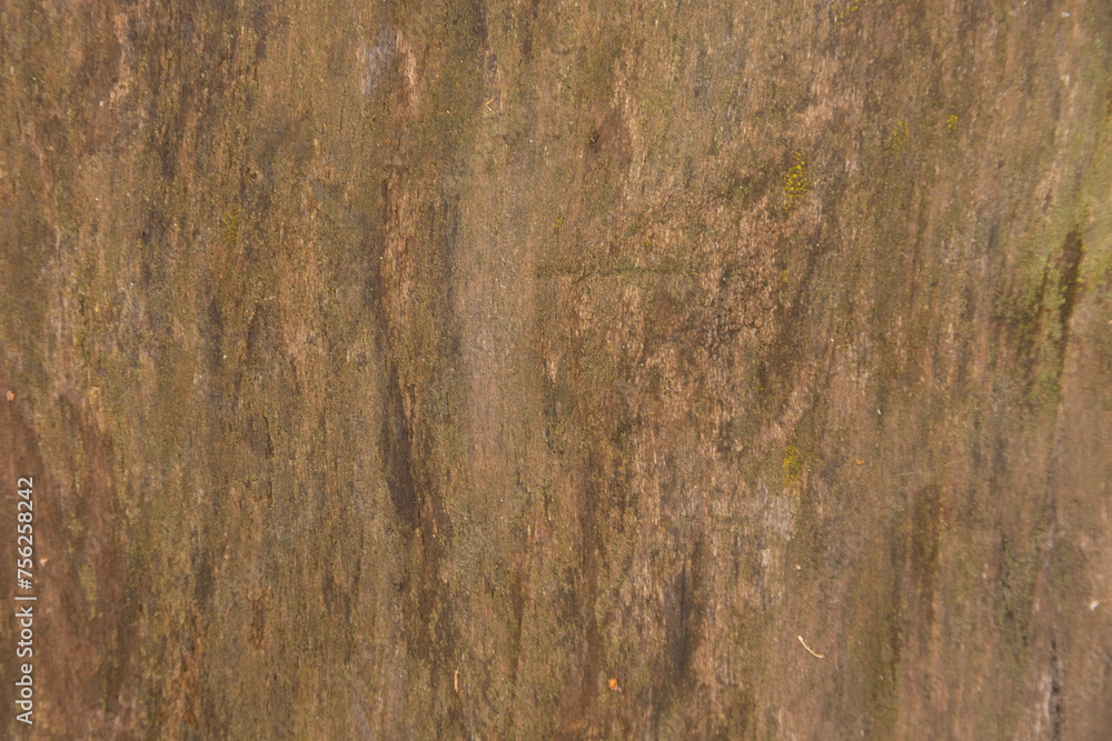 Old rough, natural, textured oak wood plank, close-up. Old rough, natural, textured oak wood plank, close-up.
