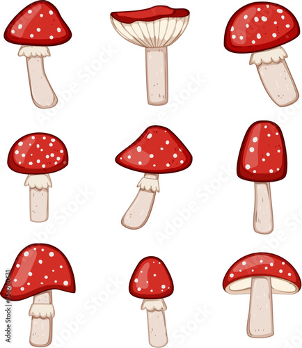 fly agaric set cartoon. spring red, forest autumn, simple toadstool fly agaric sign. isolated symbol vector illustration