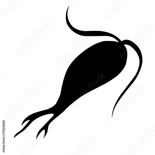 Sillhouette Copepod Microorganisms